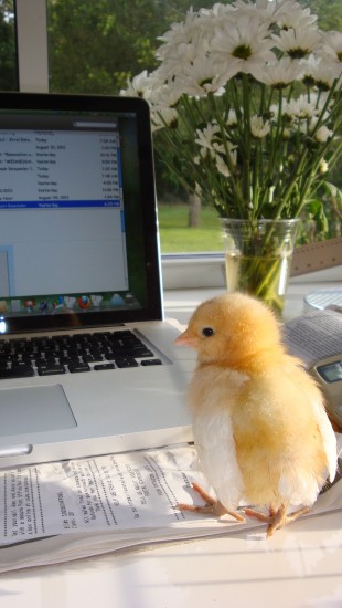 Car Talk (or How to NOT write a blasé blog post)