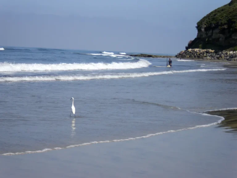 Monday Morning Prayer