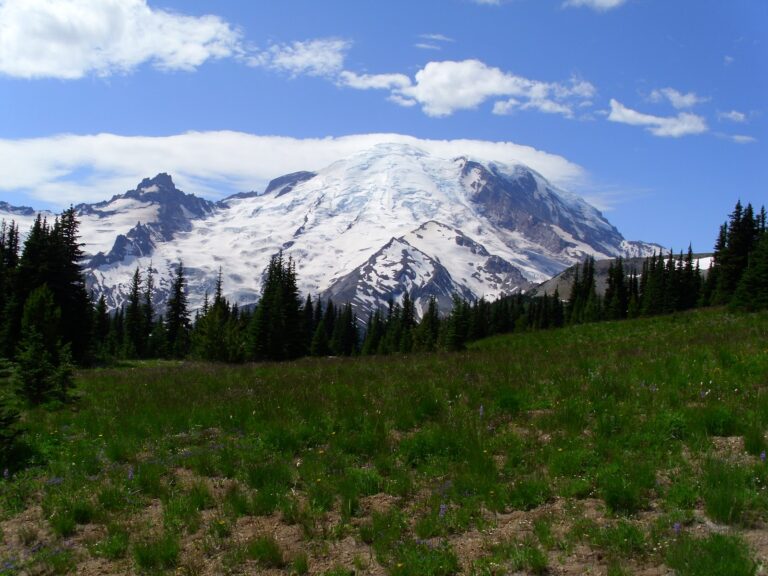 In Which I Write like Ann Voskamp