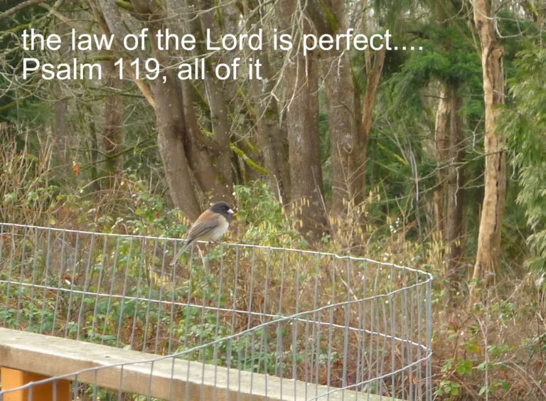 God’s Law is His Love