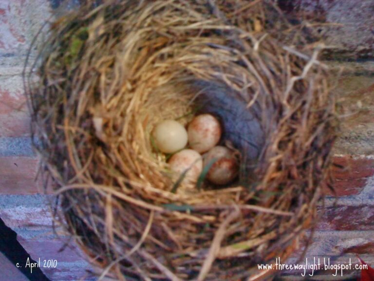 How to Become like a Child