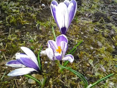 Overheard at the Writer’s Conference