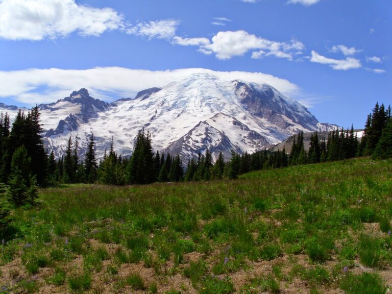 Going There–a Travelogue