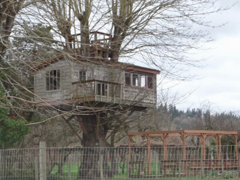 Why Detours are a Good Thing