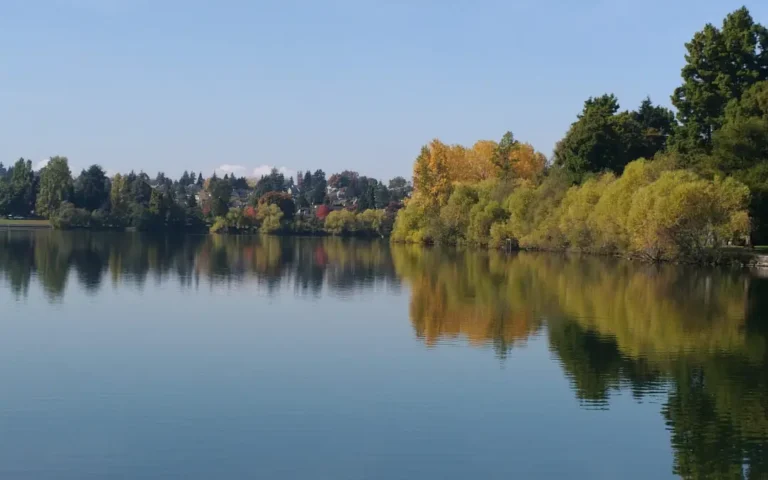 Summer is for Reading