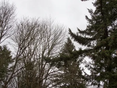 Sabbath on the Page, Winter {a #poem}