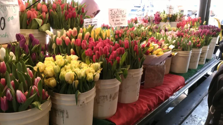 God Can’t Make You But You Can Let Him