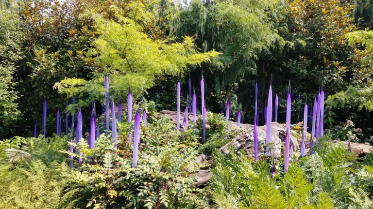 On Beauty, Books & A Birthday-A Photo Essay