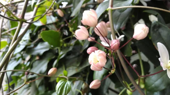 Worry & Wonder–Holy Week