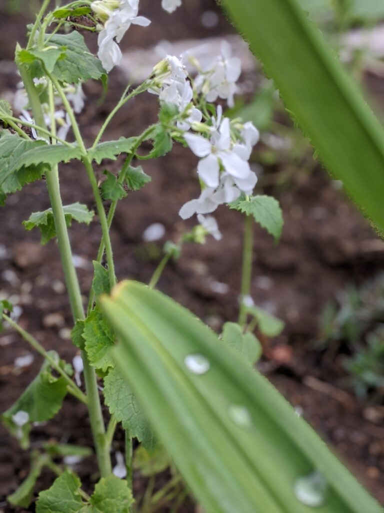 When You’re Drowning in Words