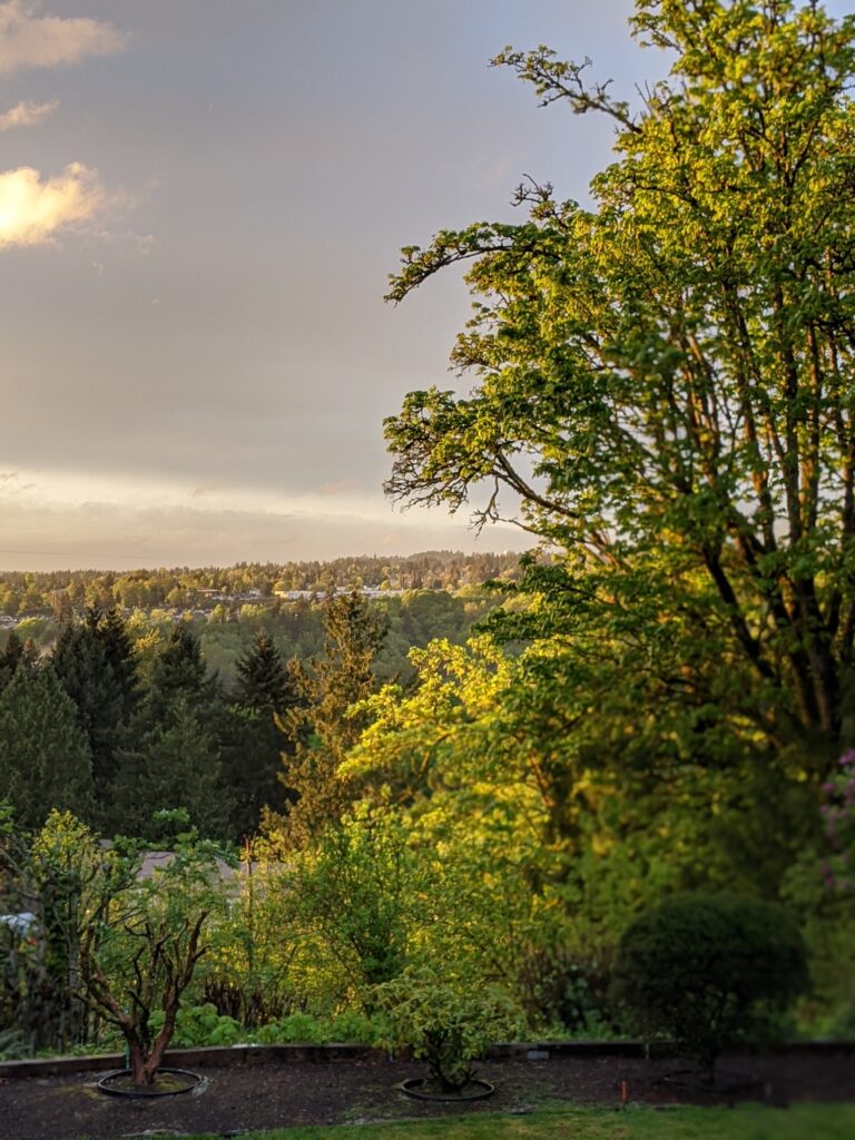 Writer’s Break {a #poem}