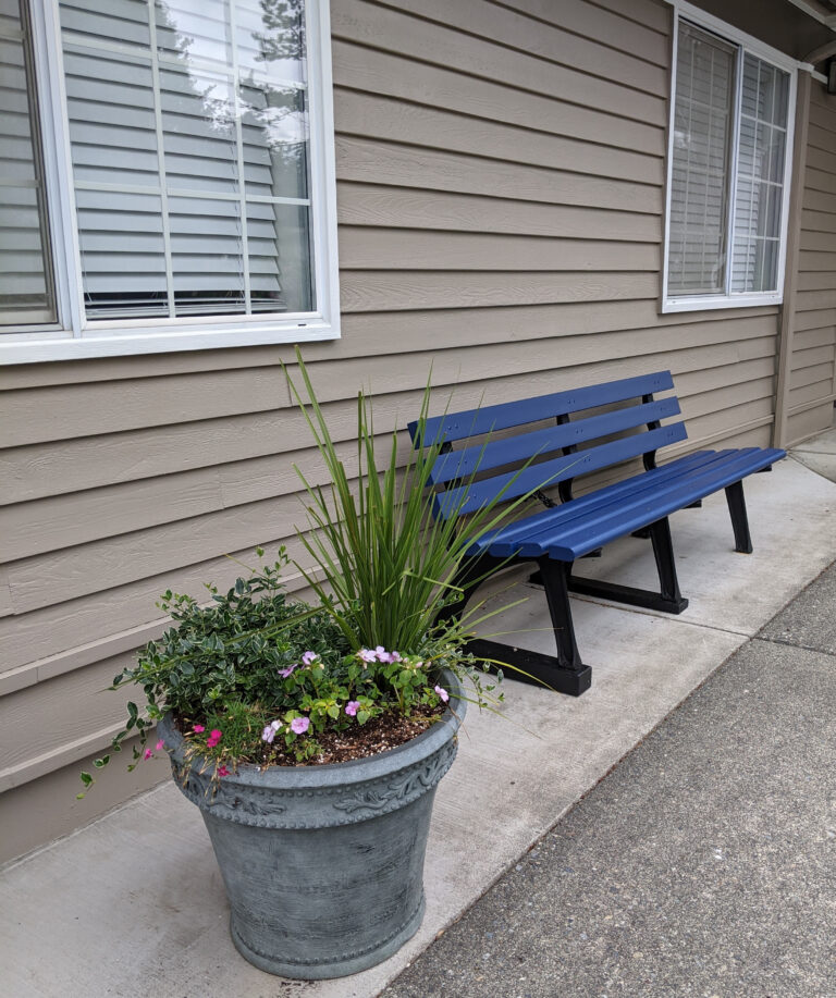 We Were Made for Connection