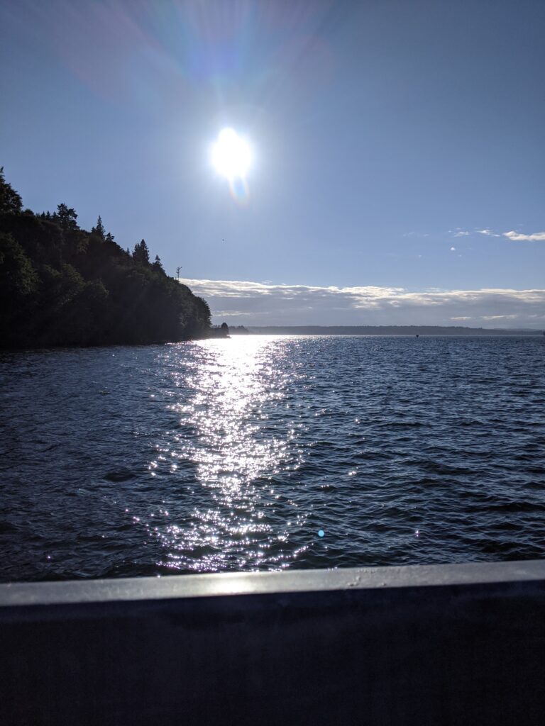 Not in My City-Sex Slave Trafficking