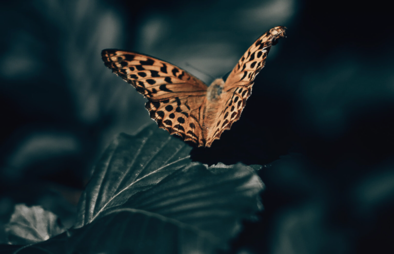 How to Measure Time {a #poem}