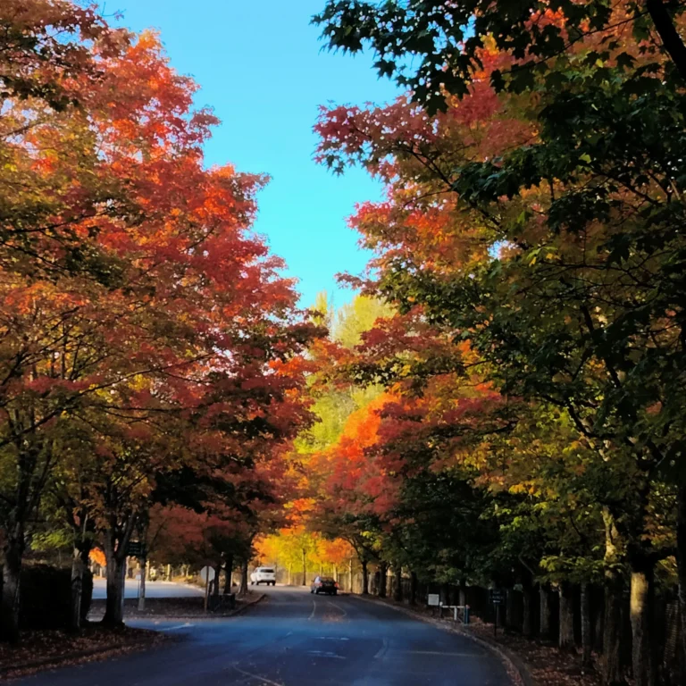 Writing the Book That You Need-Mining the Bright Birds