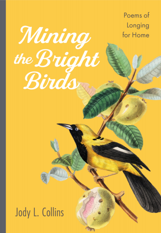 “Mining the Bright Birds: Poems of Longing for Home” is Here