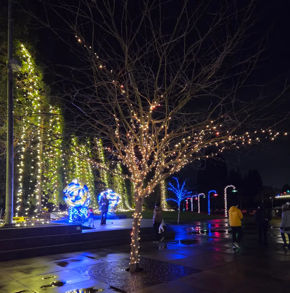 Pilgrim Verse-A Short Rhyme for the New Year